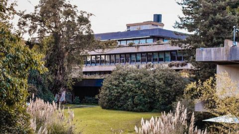 Gulbenkian Cristina Casalinho Marika Hedin Isabel Capeloa Gil