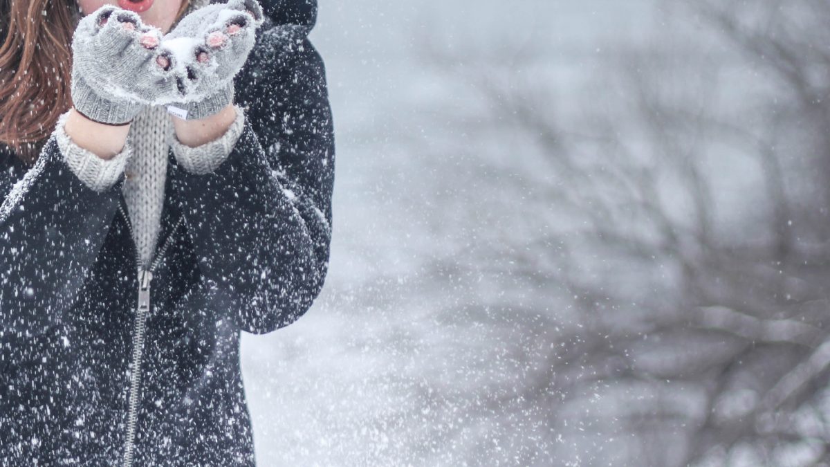 pexels-kristin-vogt-54200(1)