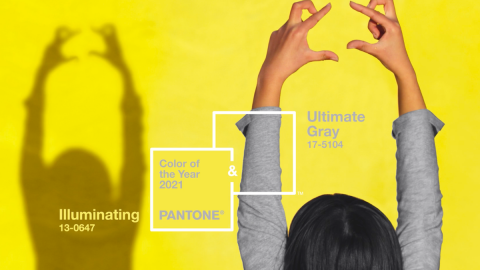 Cores tendência da Pantone para 2021 [Fotografia: DR]