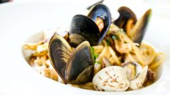 moluscos microplásticos