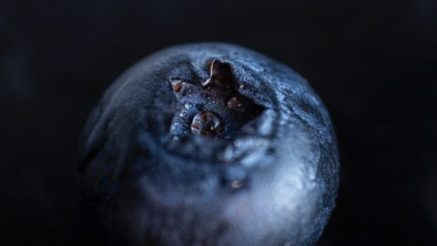 Mirtilo fígado hepático