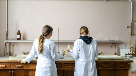 mulheres ciência iniciativas