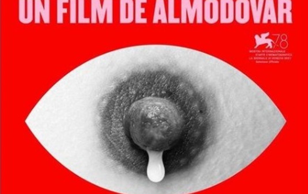 Cartaz pedro Almodovar