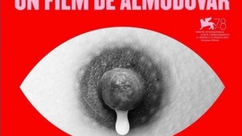 cartaz Pedro Almodóvar