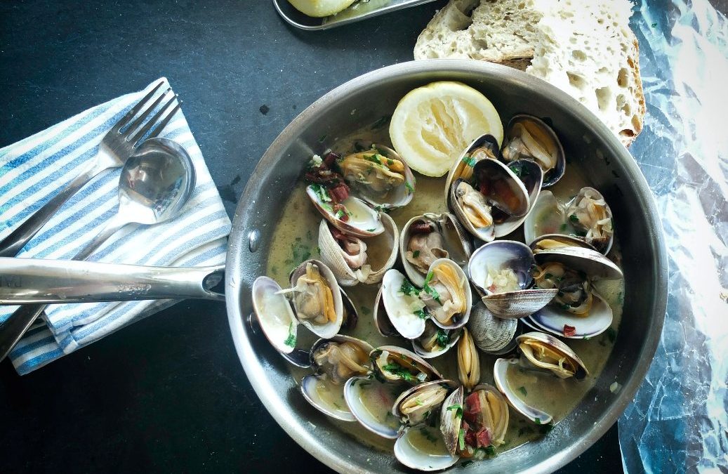 moluscos adrien-sala-qvIrI4ueqzY-unsplash