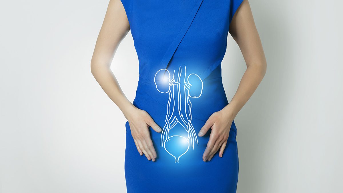 imagem_abertura_IUL_3