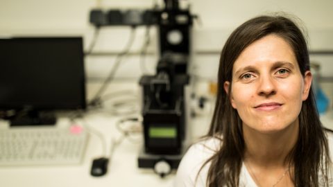 Filipa Fernandes [Fotografia: Nuno Gonçalves/UMinho]