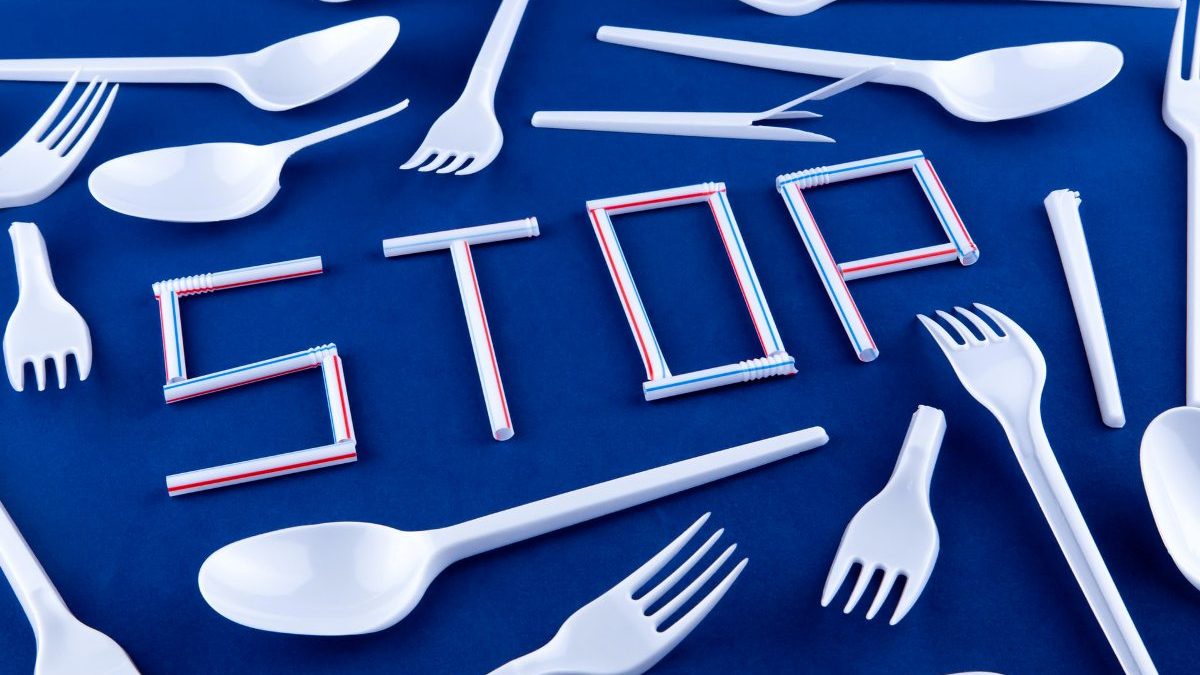 palhinhas volodymyr-hryshchenko-LHE9c_va1f8-unsplash