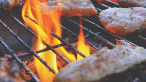 carne impacto ambiente