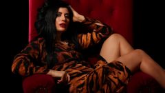 tigre ano do tigre horóscopo chinês shopping moda