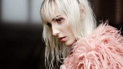 pele verdadeira animal soluções sustentáveis dolce & Gabbana