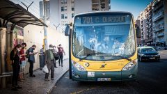 passes grátis lisboa