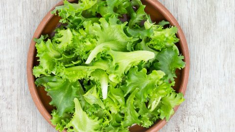 arte salada chefes saúde alimentação como fazer