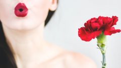 revolução cravos 25 abril partidos mulheres igualdade maioria absoluta