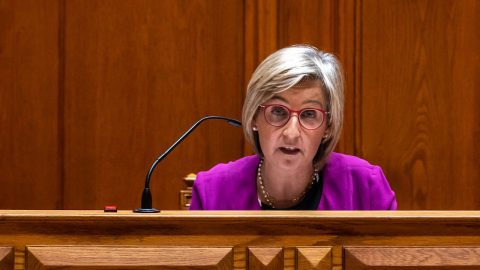 ministra saúde aborto IVG médicos família ministra da Saúde