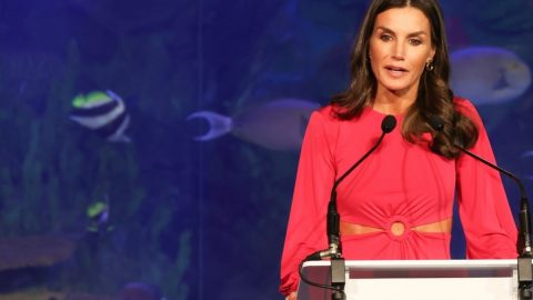 Rainha letizia tendência verão cortes abdominais