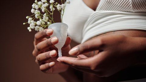 PAN menstruação proposta aditramento OE