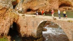 berlengas visitar taxa turística três euros berlengaspass inscrever