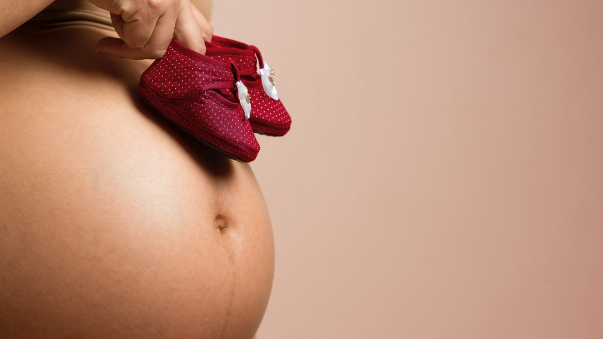 pexels-daniel-reche-1556672