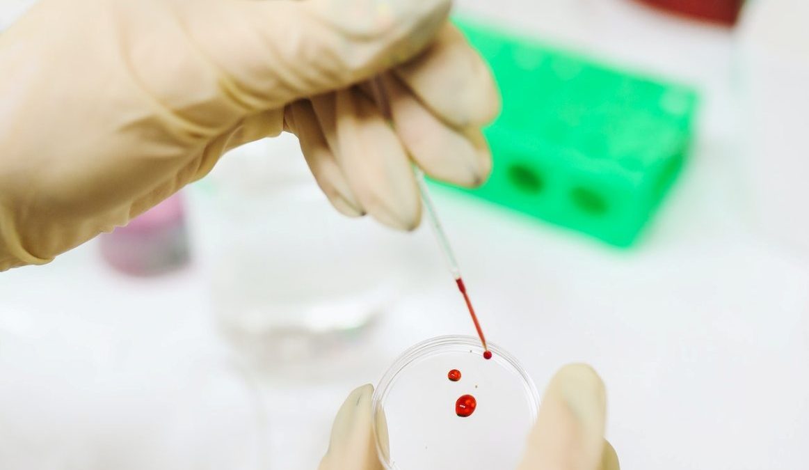 pexels-polina-tankilevitch-3735705