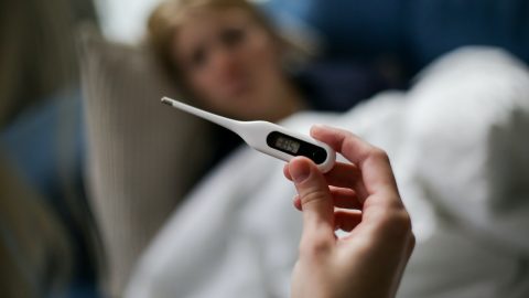 gripe casos estudo mortes óbitos