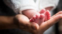 nascimentos bebés portugal