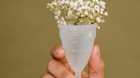 menopausa menstruação mulheres mil milhões Global Wellness Summit