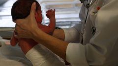 maternidade Açfredo da Costa MAC bebés partos 90 anos