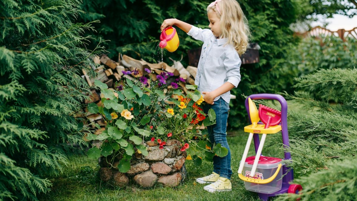 pexels-polesie-toys-5997587