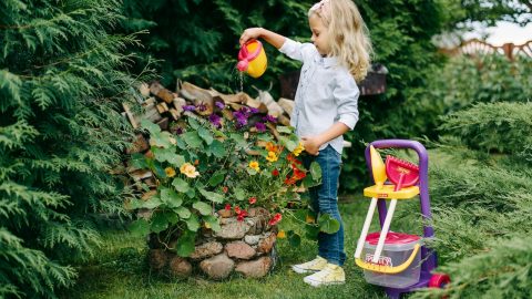 brinquedos sexistas espanha
