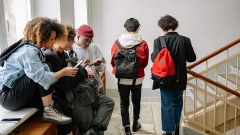 licenciado mestrado estudo