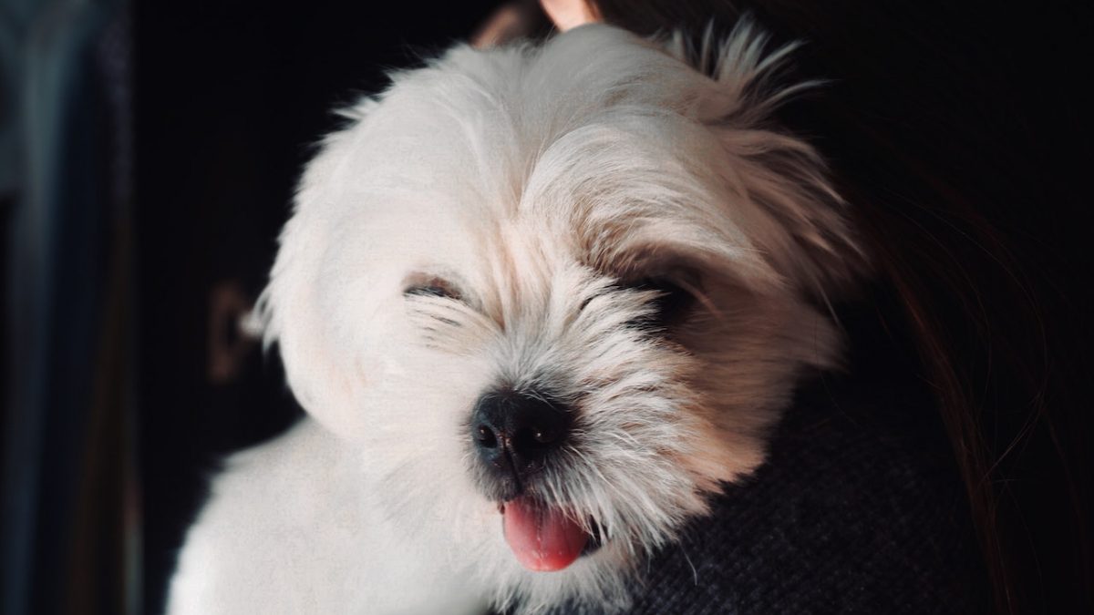 pexels-berke-can-7114322