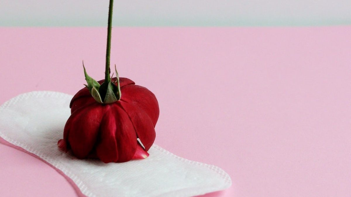 pexels-mike-murray-5907694