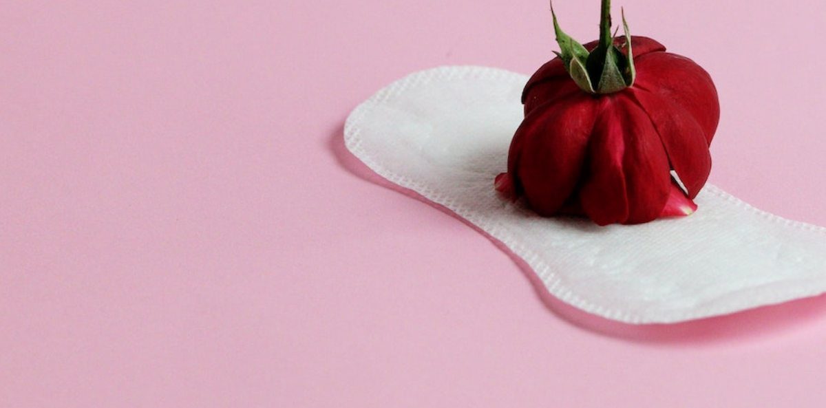 pexels-mike-murray-5907694