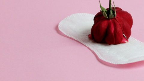 endometriose baixa apoios licença certificado