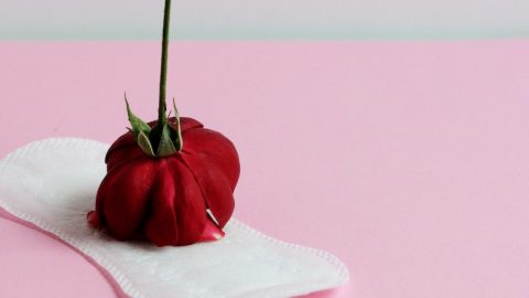 endometriose baixa apoios licença certificado