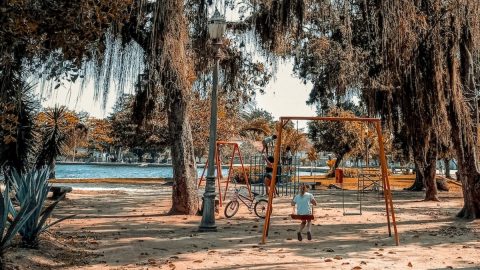 crianças ucriananas comissão guerra um ano Ucrania Portugal