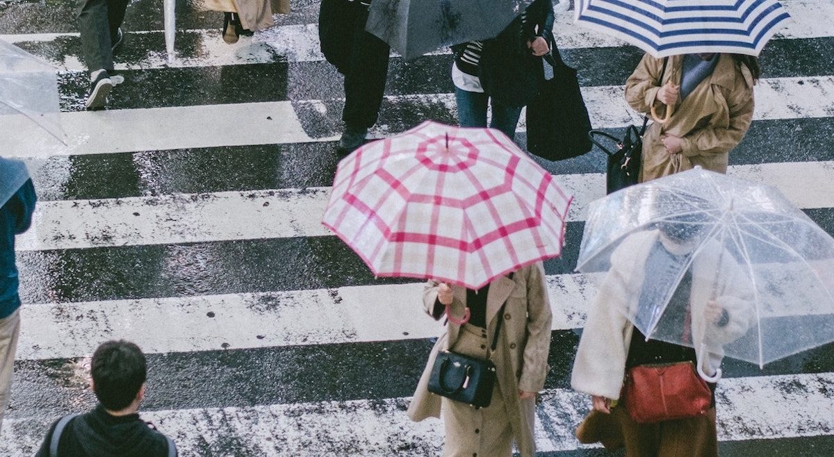 pexels-wencheng-jiang-7210067