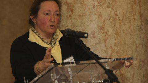 Teresa Pizarro Beleza, coordenadora do Observatório do Racismo e Xenofobia racismo portugal