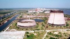 chernobyl cães geneticamente modificados