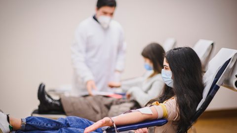 dar sangue requisitos mulheres Instituto português do Sangue