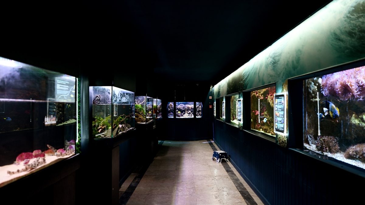 42410583_GI15122021RITACHANTRE27