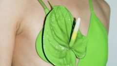 Flores vestidos tops brincos malas coroas bandoletes