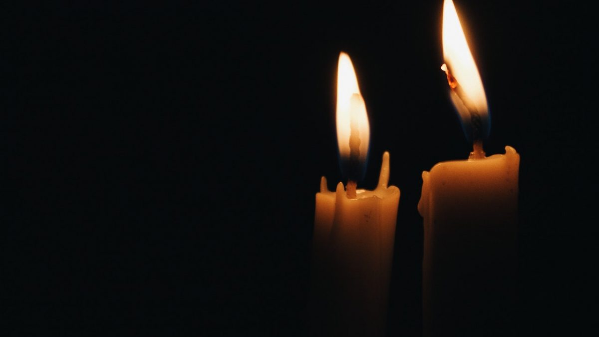 pexels-andre-moura-2563040