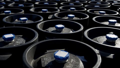 Bebida álcool ressaca Borg perigos TikTok