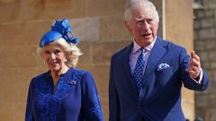 coroação camila carlos III emoji