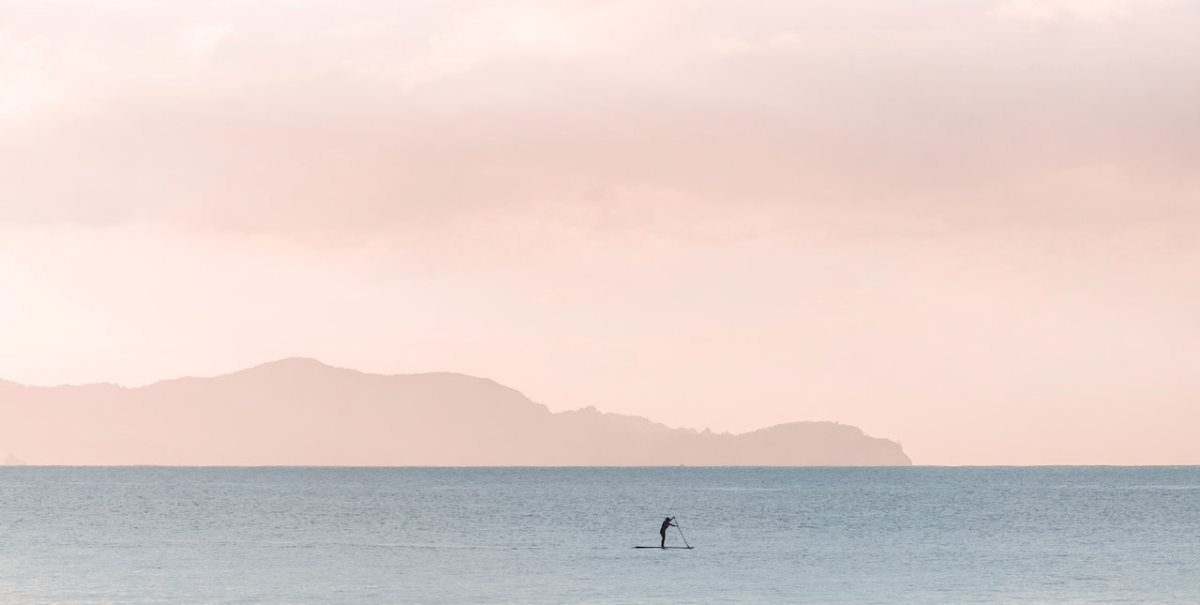 pexels-tyler-lastovich-590179