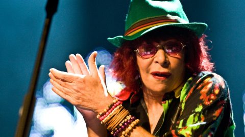 Rita Lee espólio cantora