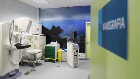 mamografia rastreio cancro da mama