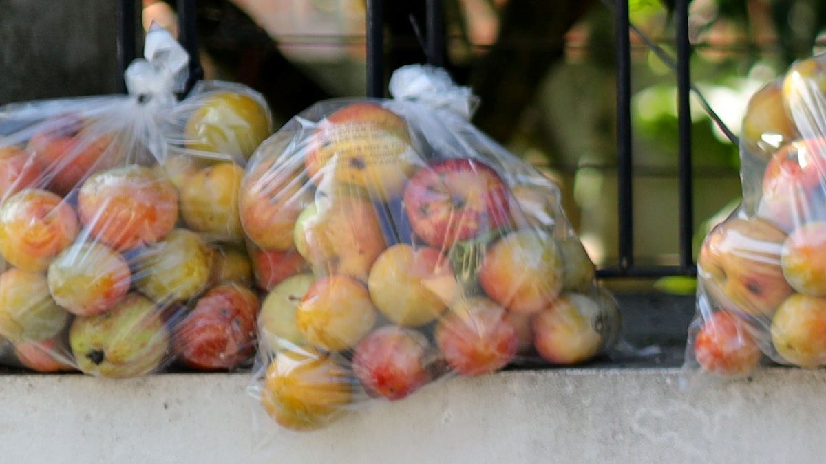 35482903_GI24082019PJM000006